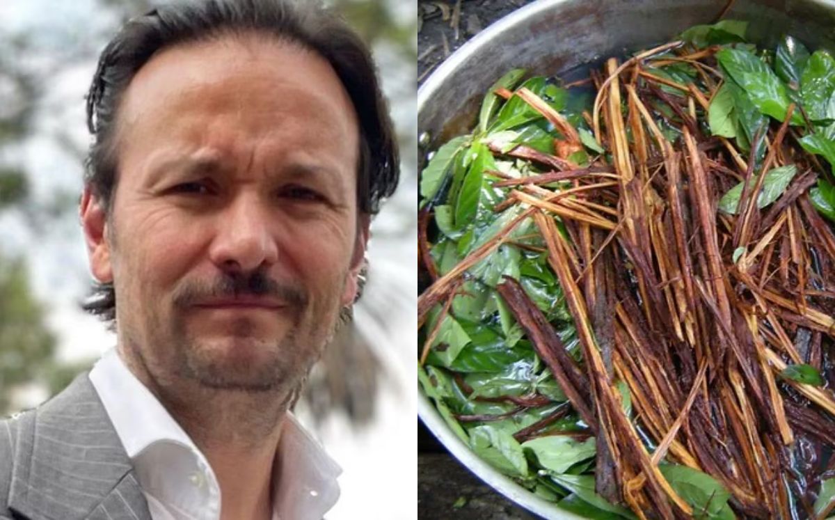 Lei Cachero Qué es la ayahuasca, método de Rodrigo Cachero para superar a AdianezFama