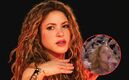 Fan le jala el cabello a Shakira en medio de un concierto