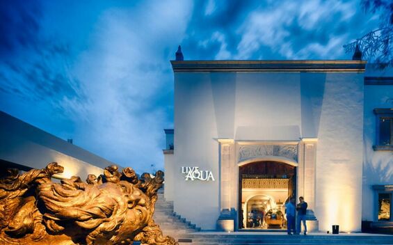 Live Aqua San Miguel de Allende (Cortesía)