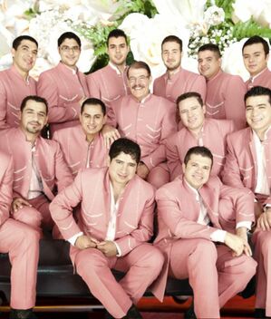 La Arrolladora Banda el Limón anuncia difícil momento (Spotify)