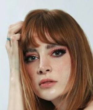 José Manuel Figueroa reacciona a las acusaciones de Imelda Tuñón (Instagram)