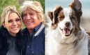 Daniela Castro habla con su papá a través de su perrito (Instagram)