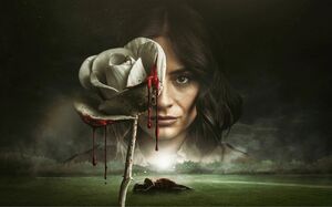 Polen: Ellos son todos los actores de la nueva serie de Vix Premium (Instagram)