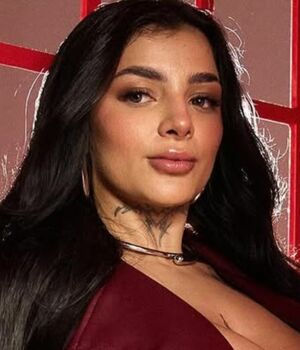 ¿Cuáles son los requisitos para trabajar con Karely Ruiz?