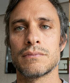 Pati Chapoy reacciona a la polémica de  Gael García Bernal con un fan (Foto: Instagram)