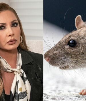 Paty Navidad opina sobre el hantavirus a más de cinco años con su polémica del Coronavirus (Foto: Instagram)