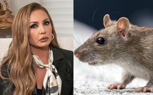Paty Navidad opina sobre el hantavirus a más de cinco años con su polémica del Coronavirus (Foto: Instagram)
