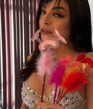 Violeta Isfel registra oficialmente las plumas de 'Antonella': ¿Las comprarías? (Foto: Facebook)