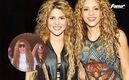 Imitadora de Shakira es duramente criticada por esta razón (Instagram)