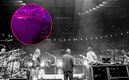 Muere hombre de 51 años tras caer al vacío durante concierto de rock