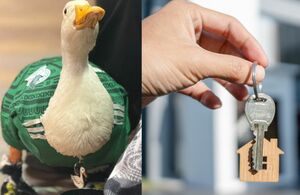 ¿Qué pasó con el Pato Merlín tras el Mundial 2026? (Fotos: Gaby Hernández / Canva)