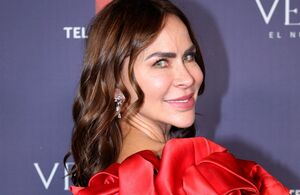 Aylín Mujica habría presenciado la muerte de su hijo en videollamada  (Mezcalent)