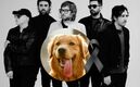 Asesino de Jonathan Meléndez confesó por qué decidió matar al perro (Foto: Instagram)