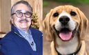 Critican a Ventaneando por planear encuentro de Pedro Sola con decenas de perritos (Foto: Izquierda Mezcalent / Derecha Canva)