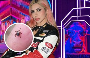 'La Granja VIP 2026': Alertan por plaga de garrapatas en el corral (Instagram)