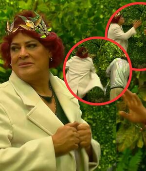 Pimpinela Escarlata cachetea a Rafael Mercadante en La Granja VIP