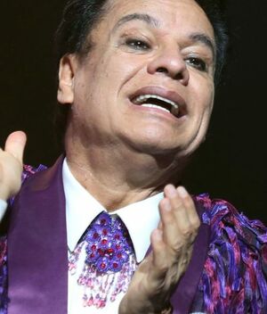 Ponen en venta emblemática mansión de Juan Gabriel (Foto: Mezcalent)