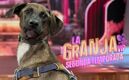 Acusan maltrato animal en La Granja VIP por negligencia con Tlacoyo (Instagram)