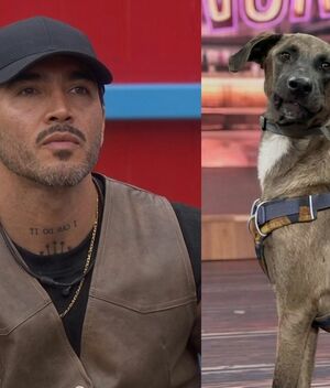 Denuncian formalmente a ‘Mono’ Osuna por maltrato animal a Tlacoyo