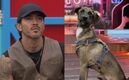 Denuncian formalmente a ‘Mono’ Osuna por maltrato animal a Tlacoyo